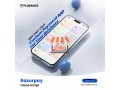 build-a-next-gen-payment-gateway-using-white-label-razorpay-clone-software-small-0