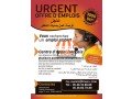 teleoperateurs-francophones-pour-la-prise-de-rdv-a-nador-small-0