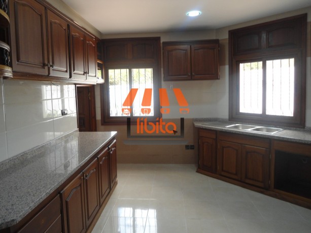 location-dun-villa-bien-ensolleille-a-lagdal-big-3
