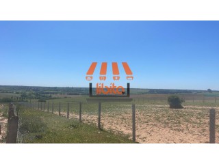 ???? Terrain 1 hectare à vendre – Sidi Allal Bahraoui