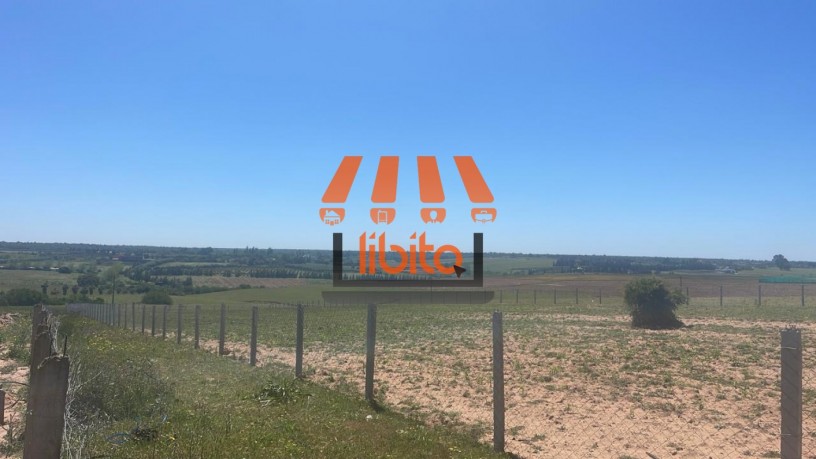 terrain-1-hectare-a-vendre-sidi-allal-bahraoui-big-0